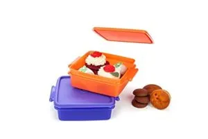 Signoraware Small Container Set 850ml Set of Rs 156 amazon dealnloot