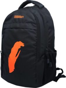 Billion BLN 1 Black Orange HiStorage Laptop Rs 291 flipkart dealnloot