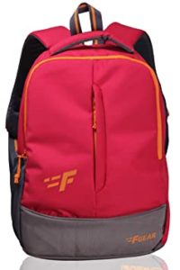 F Gear Ferrari 21 Liters Casual Backpack Rs 289 amazon dealnloot