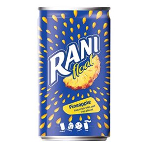 Rani Float Pineapple Can Pack of 6 Rs 99 amazon dealnloot