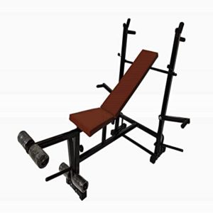 Spiro Multipurpose Weight Lifting Bench Incline Decline Rs 1120 amazon dealnloot