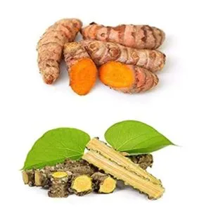 Evergreen Season Combo of Turmeric Seeds Kachi Rs 99 amazon dealnloot