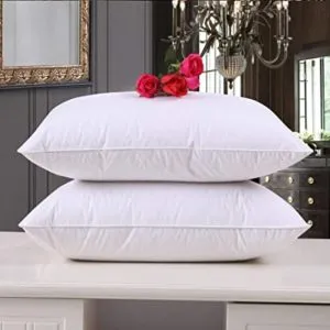 IVAZA New White Filler Cushion 2 12X12 Rs 99 amazon dealnloot