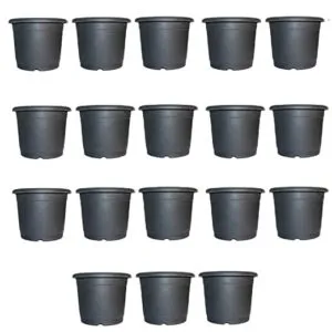 Leafy Tales Set of 18 Plastic Plant Rs 214 amazon dealnloot