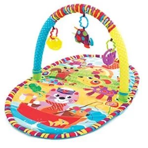Playgro Play in The Park Activity Gym Rs 1649 amazon dealnloot