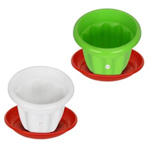 Kraft Seeds Gamla Planter Design Name Royal Rs 139 amazon dealnloot