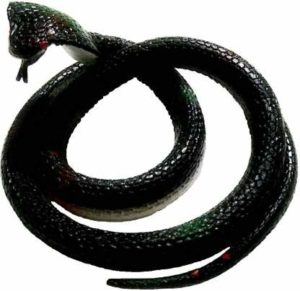 World Zone Enterprises Toys Gifts Realistic Rubber Rs 99 amazon dealnloot