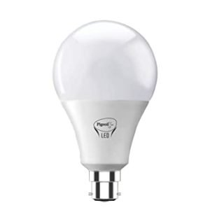 Pigeon Led Joy Bulb B22 6500K 23W Rs 265 amazon dealnloot