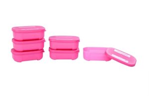 Signoraware ICY Cool Plastic Container Set 140ml Rs 170 amazon dealnloot