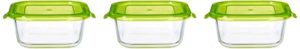 Amazon Brand Solimo Borosilicate Glass Container Set Rs 129 amazon dealnloot