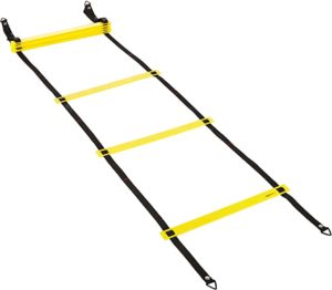 AmazonBasics Agility Ladder Rs 489 amazon dealnloot