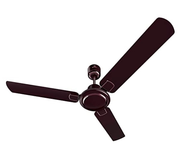 Bajaj Regal Gold NXG  Wine Red 900 mm Ceiling Fan