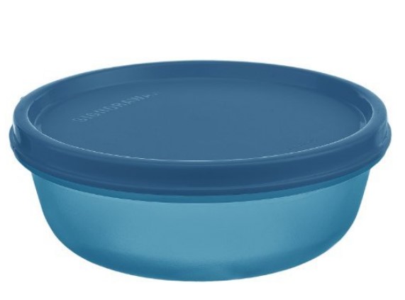 Signoraware Buddy Plastic Bowl Container, 300ml, T Blue