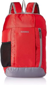 Amazon Brand Solimo Hiking Day Backpack 15L Rs 178 amazon dealnloot