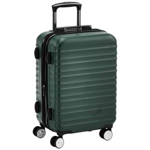 AmazonBasics 20 Inch Carry on Green Rs 1798 amazon dealnloot