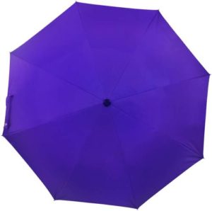 Flipkart SmartBuy 2 fold Auto Open Polyester Rs 117 flipkart dealnloot