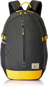 Gear 21 Ltrs Grey Casual Backpack BKPCMPSLB0412 Rs 339 amazon dealnloot