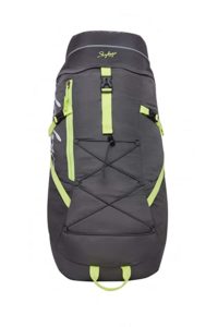 Skybags Echo 22 cms Grey Rucksack Echo Rs 1039 amazon dealnloot