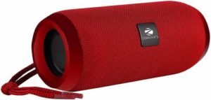 ZEBRONICS ZEB ACTION 10 W Bluetooth Speaker Rs 699 flipkart dealnloot