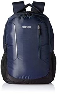 Amazon Brand Solimo Polyester Laptop Backpack for Rs 546 amazon dealnloot