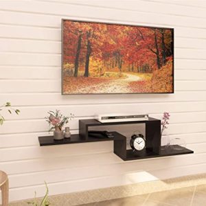 Klaxon Alyssum TV Entertainment Wall Unit Wall Rs 616 amazon dealnloot
