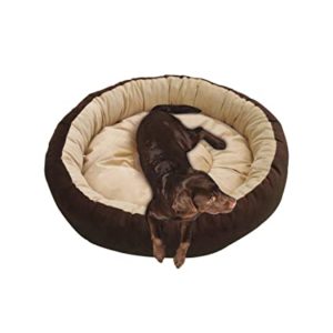 Mellifluous Reversible Super Soft Velvet Round Cat Rs 350 amazon dealnloot