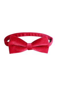 Peter England Men s Poly Viscose Tie Rs 138 amazon dealnloot