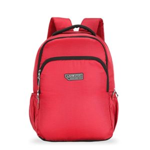 Lavie Sport Pack Women s Laptop Backpack Rs 416 amazon dealnloot
