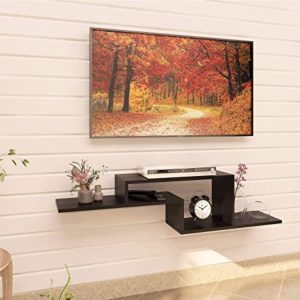 Klaxon Alyssum TV Entertainment Wall Unit Wall Rs 436 amazon dealnloot