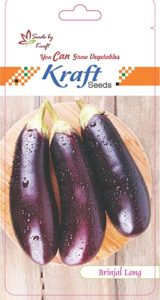Long Brinjal Hybrid Seeds Pack of 20 Rs 35 amazon dealnloot