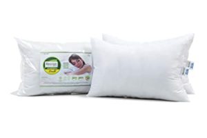 Recron Certified Dream Fibre Pillow 16 x24 Rs 299 amazon dealnloot