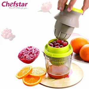 Chefstar Fruit Vegetable Handy Juicer 2 in Rs 109 amazon dealnloot