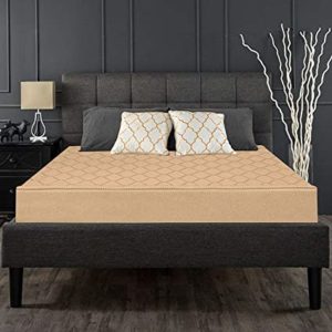 Coirfit Sleep SPA Brezza 4 inch Firm Rs 2800 amazon dealnloot