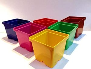 GARDENS NEED 110022 Plastic Gift Pot Set Rs 91 amazon dealnloot
