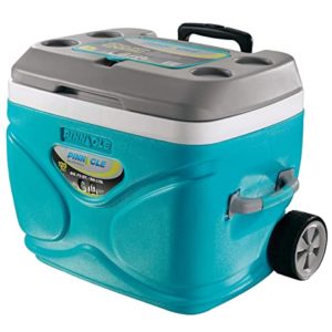 Pinnacle Prudence Ice Cooler Box Keeps Cold Rs 3490 amazon dealnloot