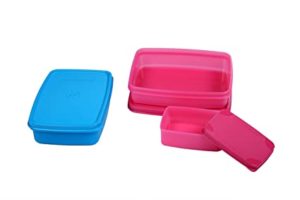 Signoraware Plastic Small Compact Lunch Box Set Rs 156 amazon dealnloot
