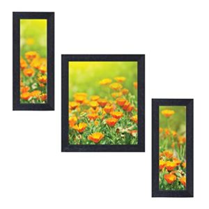 Random RP 1902 Beautiful Nature Floral Framed Rs 328 amazon dealnloot