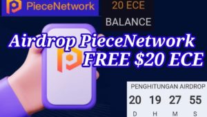 Piece network