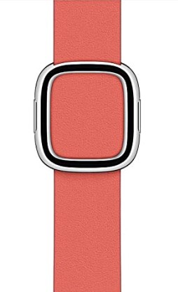 Apple Watch Modern Buckle (40mm) - Pink Citrus - Large